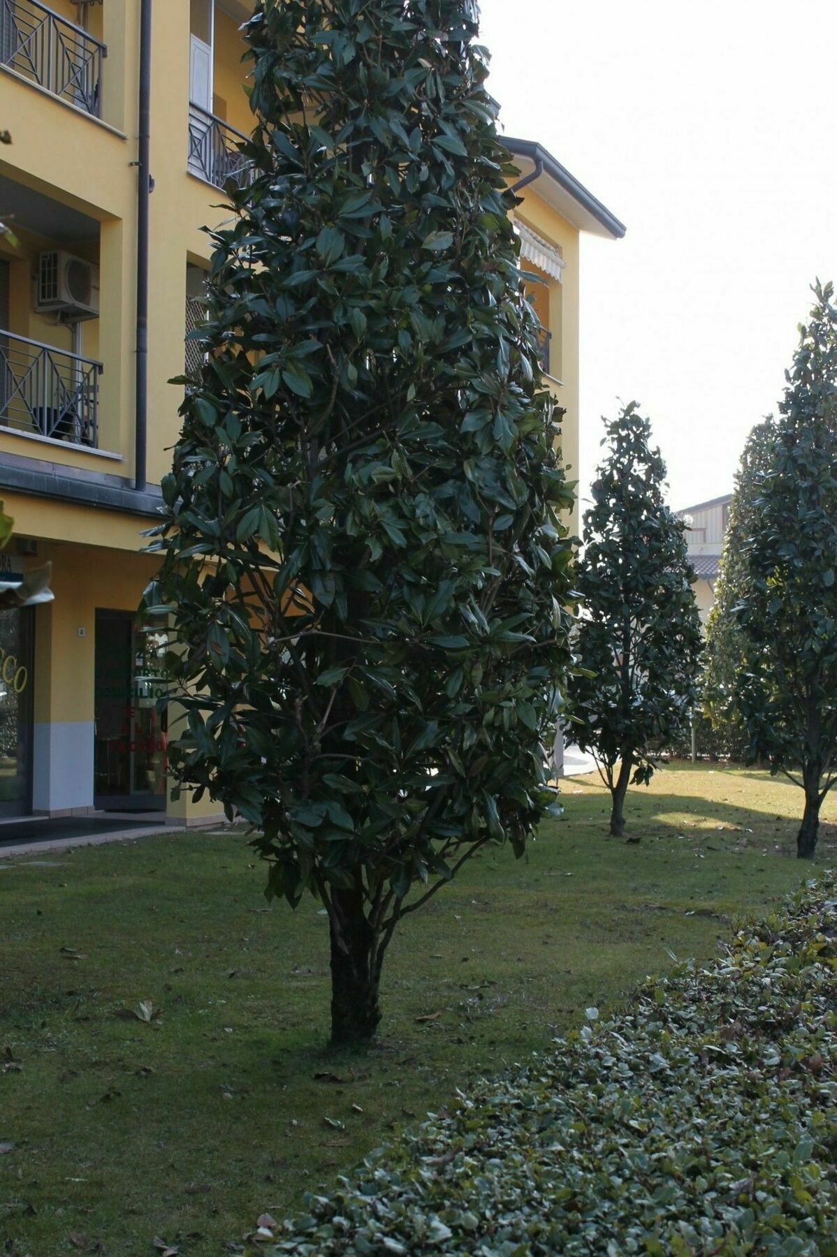 Sarno Apartments Caravaggio Sirmione Dış mekan fotoğraf